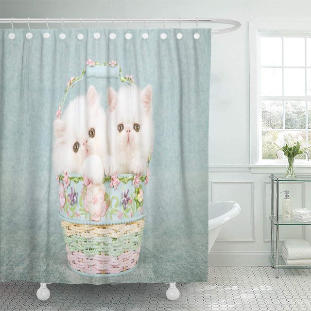 Cortina de Ducha ABPHQTO Gatito Persa Blanco y Exótico 150x180 cm