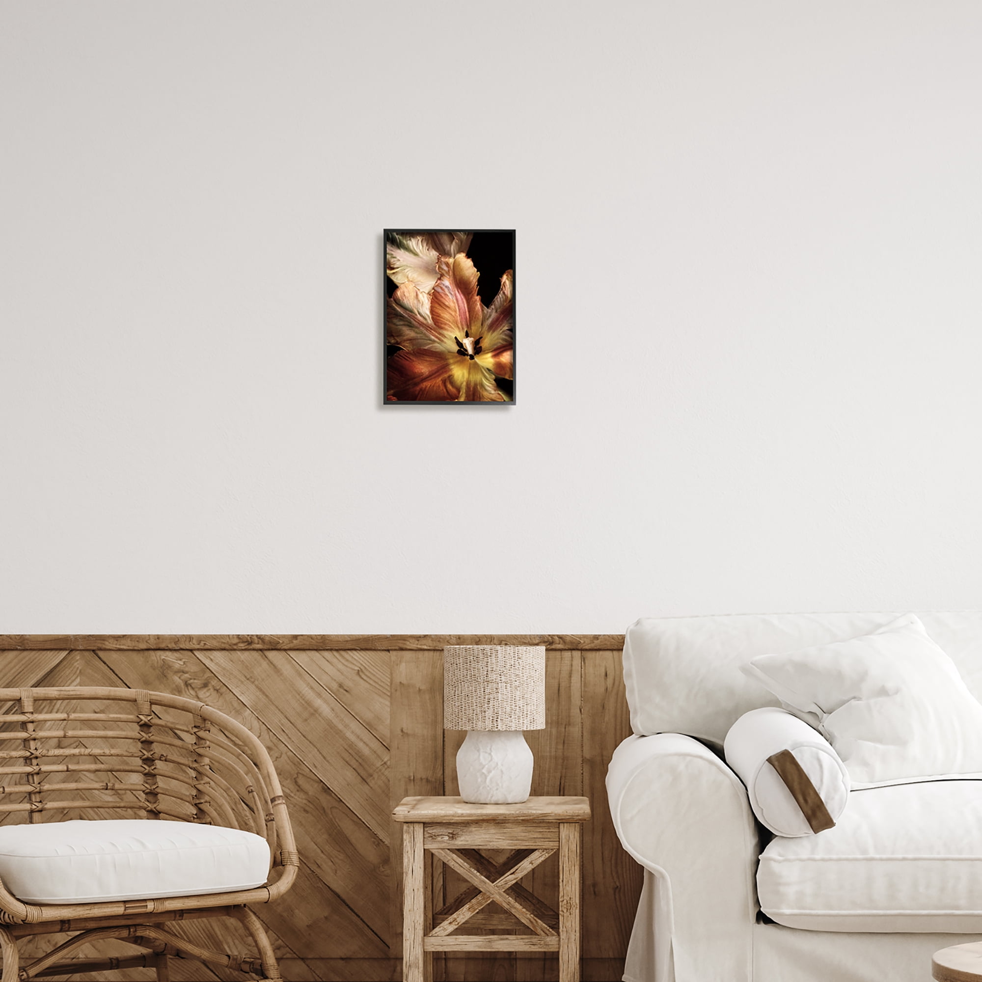 Stupell Industries Tulip Petals Detail Botanical & Floral Photography Black Framed Art Print Wall Art, 11 x 14