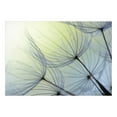 thumbnail image 2 of Tiptophomedecor Peel and Stick Floral Wallpaper Wall Mural - Natural Lightness - Removable Wall Decals, 2 of 3