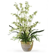 Dancing Lady Silk Orchid Arrangement, Green