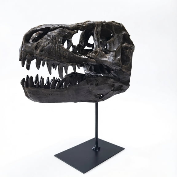 T-Rex Dinosaur Skull Mounted Tyrannosaurus Rex Fossil Statue
