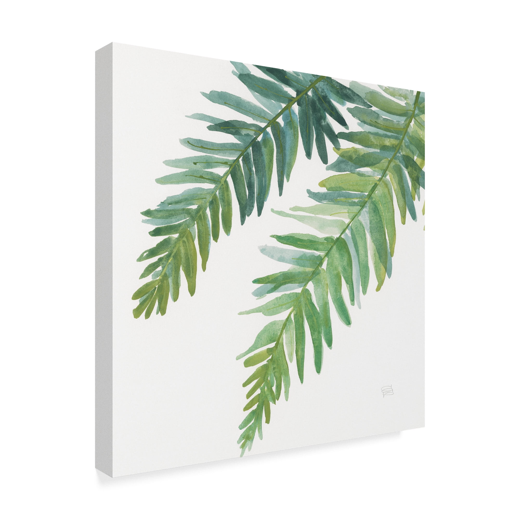 Trademark Fine Art 'Ferns Square I' Canvas Art by Chris Paschke