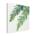 thumbnail image 2 of Trademark Fine Art 'Ferns Square I' Canvas Art by Chris Paschke, 2 of 3