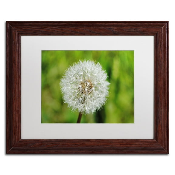 Trademark Fine Art "Make a Wish" Canvas Art by Monica Mize, White Matte, Wood Frame