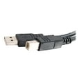 thumbnail image 2 of C2G 2m USB 2.0 A/B Cable - Black (6.6ft), 2 of 4