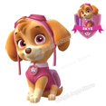 thumbnail image 1 of Paw Patrol Parche De Hierro Ropa De Niños DIY Camiseta De Dibujos Animados Pegatinas De Transferencia De Calor Decoración Tamaño 18-22 Cm, 1 of 4