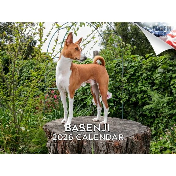 2025 2026 Basenji Calendar - Dog Breed Monthly Wall Calendar - 12 x 18 Open - Thick No-Bleed Paper - Giftable - Made in USA