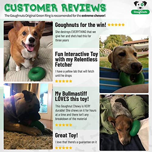 goughnuts guaranteed indestructible dog toy