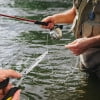 Alicates de pesca multifuncionales de punta larga, alicates de acero inoxidable para anzuelos con cordón, alicates de pesca profesionales para agua dulce y salada