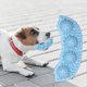 thumbnail image 4 of Dog Chew Toy Bite-resistant Raised Points Flexible Soft Tpr Colorful Relieve Boredom Safe Pet Bite Teething Peasecod Toy Pet Supplies, 4 of 5