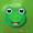 Frog Medium