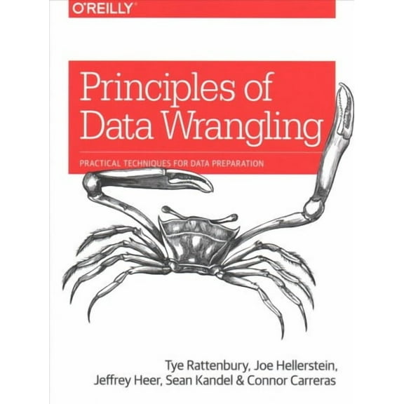 Principles of Data Wrangling: Practical Techniques for Data Preparation (Paperback)