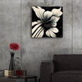 thumbnail image 5 of Epic Art 'Flowers Black White 28' by Ray Heere, Acrylic Glass Wall Art, 24"x24", 5 of 8