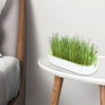 thumbnail image 6 of Cat Grass Planter, Hydroponic Planter, Hydroponic Grass Planter, Self Watering Cat Grass Planting Container Soilless Pots Window Planting Box Hydroponic Planter Nursery Planting Pots Growing Products, 6 of 6