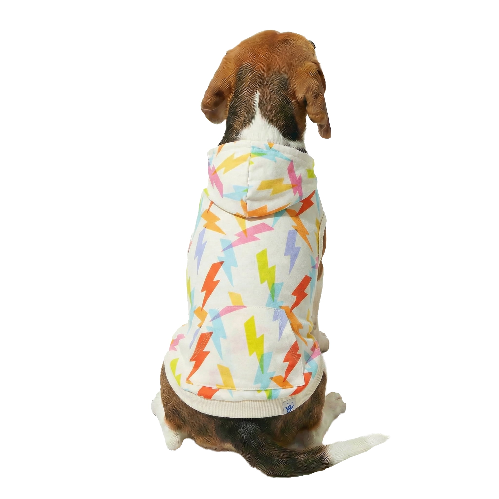 Oodles Multi-Colored Liminal Lightning Bolt Spring Dog Hoodie, Medium