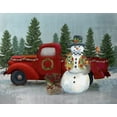thumbnail image 2 of Nan 24x20 White Modern Wood Framed Museum Art Print Titled - Winter Truck Roadside Stand, 2 of 4