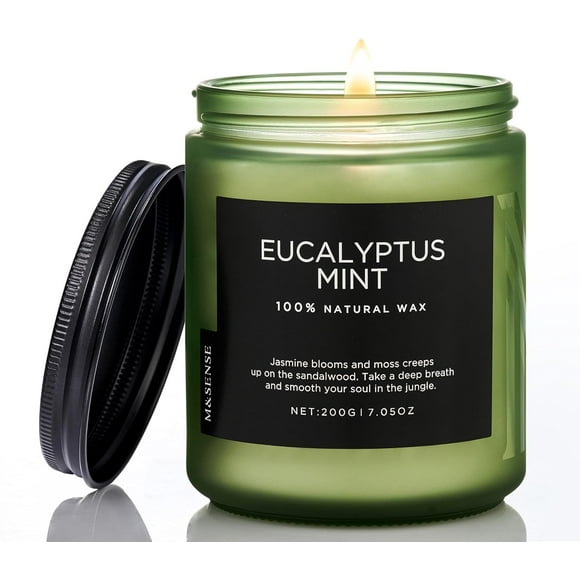 shiyou-Eucalyptus & Mint Candles for Home Scented, Clean Non Toxic Candle Aromatherapy Candle Gift 7.05oz 50 Hours Burn for Stress Relief Meditation Yoga Relaxing SPA, Natural Jar Candles for Men