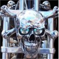 thumbnail image 4 of Skull Headlight At Universal Led Motorcycle Decorative Lamp Waterproof Motorcycle Accessory, 4 of 4