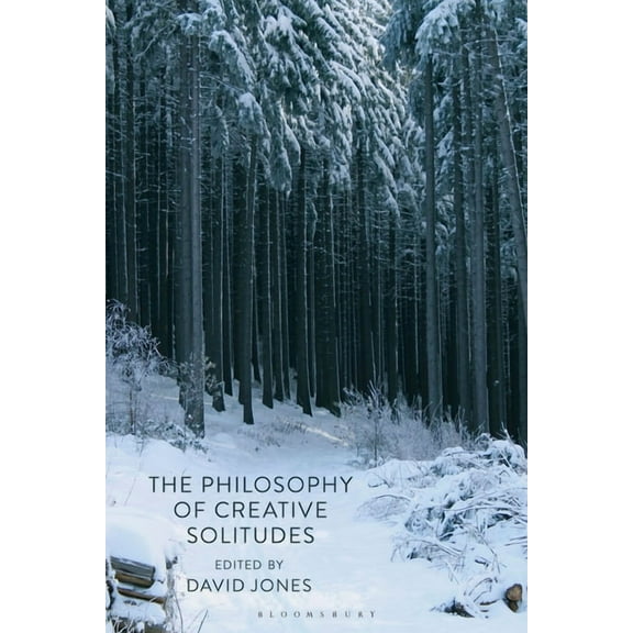 The Philosophy of Creative Solitudes, (Paperback)