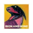 thumbnail image 1 of IRON & WINE Disques Compacts pour Chien de Berger (DIG), 1 of 2