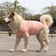 thumbnail image 1 of Zhuge Chaleco para perros y gatos, chaleco transpirable para mascotas, sudadera para cachorros, ropa para perros, abrigos para perros pequeños, medianos y gatos, M, A27, 1 of 4