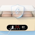 thumbnail image 6 of hengtong Mini Digital Egg USB Clear Top Cover Brooder Desk 4 Auto Egg Turning, 6 of 9