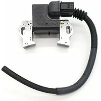 Ignition Coil Module for 30500-Z5T-003, GX390, GX340, Stable Spark, Easy Installation