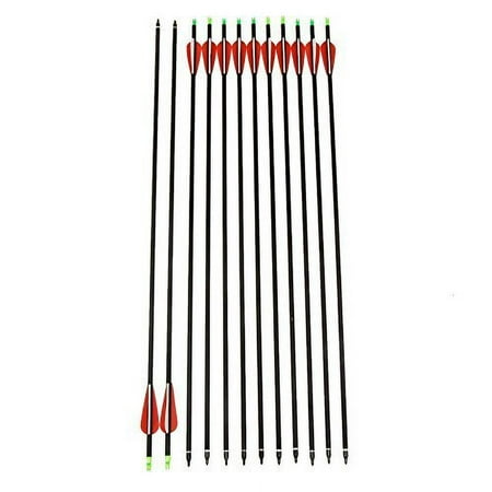 ANTSIR Outdoors Carbon 30-Inch 7.8mm Shaft Removable Arrows with Field Points Replaceable Tips for Recuve & Compound Bow( Pack of 12)