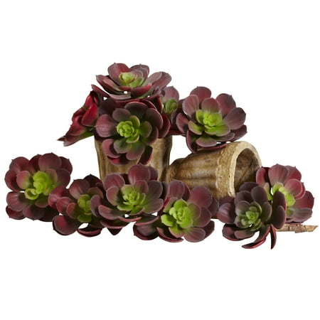 Echeveria Plant - Nearly Natural Echeveria Succulent Plant (Set of 12)