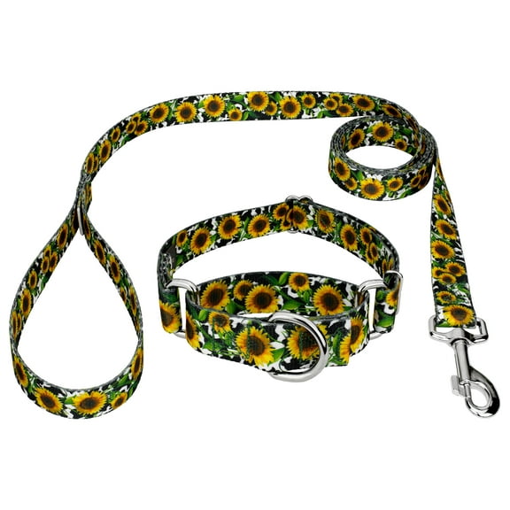 Country Brook Petz® Dairy Fields Martingale Dog Collar and Leash, Extra Small