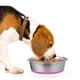 thumbnail image 4 of Comederos metálicos de acero inoxidable para perros | Base de goma antideslizante | Comederos ideales para comer y beber, 4 of 5