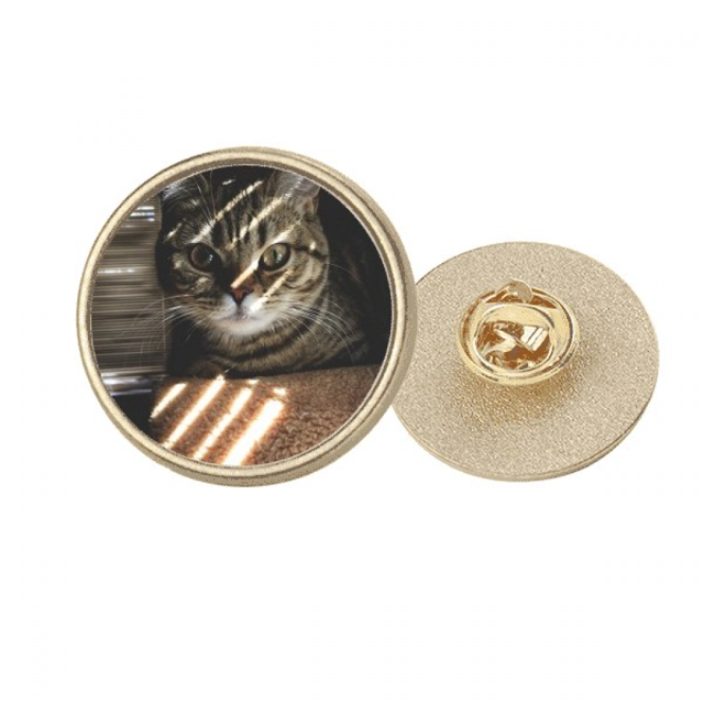 Broche de oro metálico circular Unbranded Gato Ray fotografia shoot