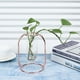 thumbnail image 5 of Carnaval de San Valentín Maceta de Planta hidropónica, florero de Vidrio de Buena decoración, Durabilidad para la Oficina de Bodas en casa(Rose Gold) Unbranded 3111200028812, 5 of 7