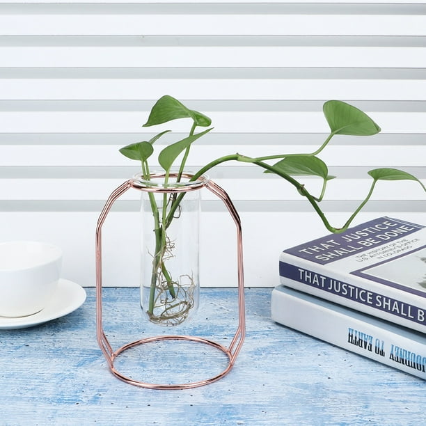 Maceta para plantas hidropónicas, floreros transparentes para plantas hidropónicas, florero de cristal, florero transparente de alta capacidad