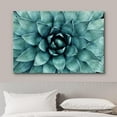 thumbnail image 3 of HFDF Canvas Prt Wall Art Closeup of Teal Rose Succulent Floral Plants Photography Realism Rustic Scenic Colorful Ultra for Livg Room, Bedroom, Office - 24x20inch Framed, 3 of 6