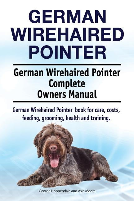 german wirehaired pointer grooming