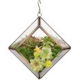 thumbnail image 5 of D'Eco Glass Mini Diamond Plant Terrarium (5x5x3.5) - Indoor Table Top Copper Geometric Planter - Succulents, Air Plants, Moss - Home & Office Decor - Gift for Plant Lovers, 5 of 5