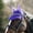 Purple/Purple(PU/PU), variant on Horze River Ear Net