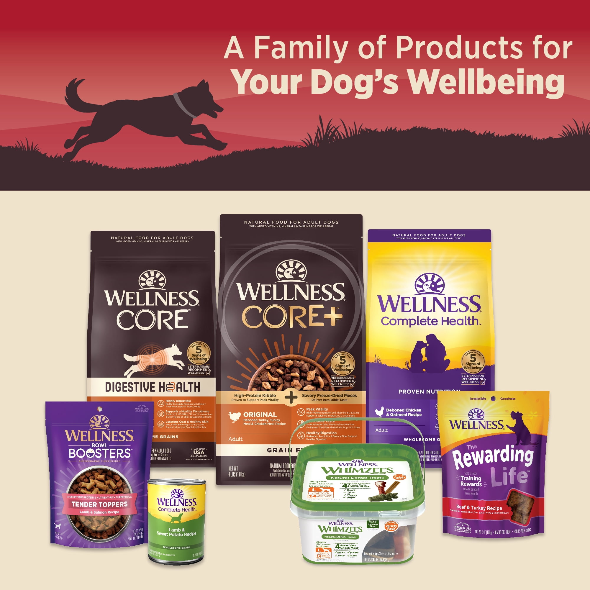 Wellness CORE 95% Adult Canned Wet Dog Food, Grain Free, Natural, Beef with Carrots Recipe, 12.5 oz, Pack of 12 Cans