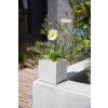 thumbnail image 4 of Veadek Geo Series Jardinière Cube 5 Pouces Blanche, 4 of 7