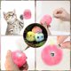 thumbnail image 5 of CHAO Pelota de juguete para gato con forma de pájaro con hierba gatera, juguete interactivo realista para gato con canto de pájaro, para morder, desviar y masticar (tres artículos), 5 of 5
