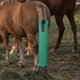 thumbnail image 4 of Bolsa De Cola De Caballo Con Flecos Cuidado Equino Accesorios Ecuestres Verde Sunnimix Envoltura de cola de caballo, 4 of 8