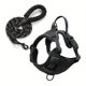thumbnail image 1 of Escape-Proof Dog Harness & Leash Set: Reflective, Adjustable & Comfortable for Walks, 1 of 5