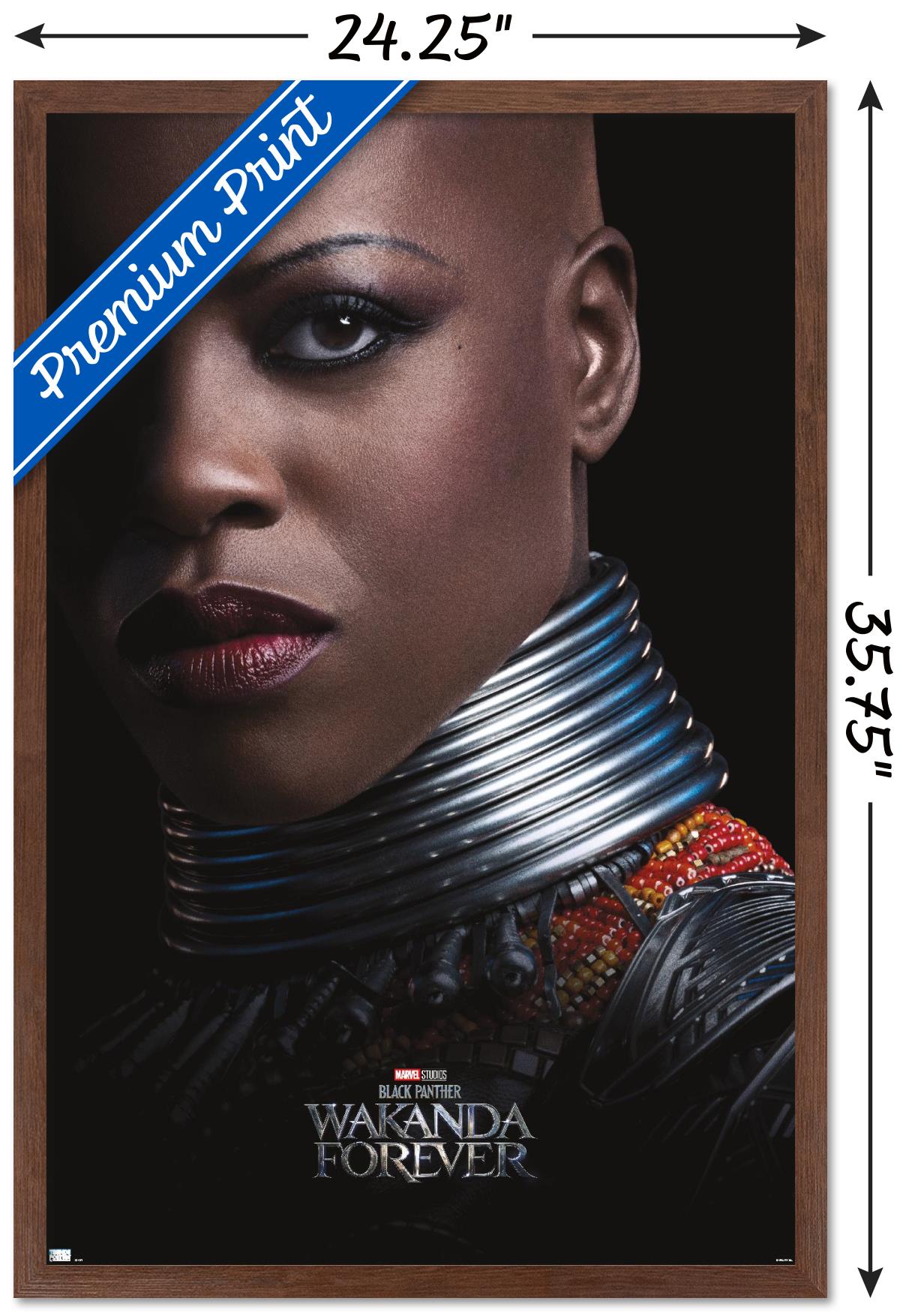 Marvel Black Panther: Wakanda Forever - Ayo One Sheet Wall Poster, 22.375" x 34" Framed