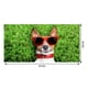 thumbnail image 3 of Toalla de playa para perro - Toalla de arena de microfibra absorbente y grande de secado rápido de 30x60 pulgadas, ligera y suave, lavable a máquina, multicolor, 3 of 9