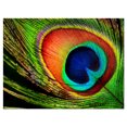 thumbnail image 2 of Design Art - Plume de Paon, 2 of 3