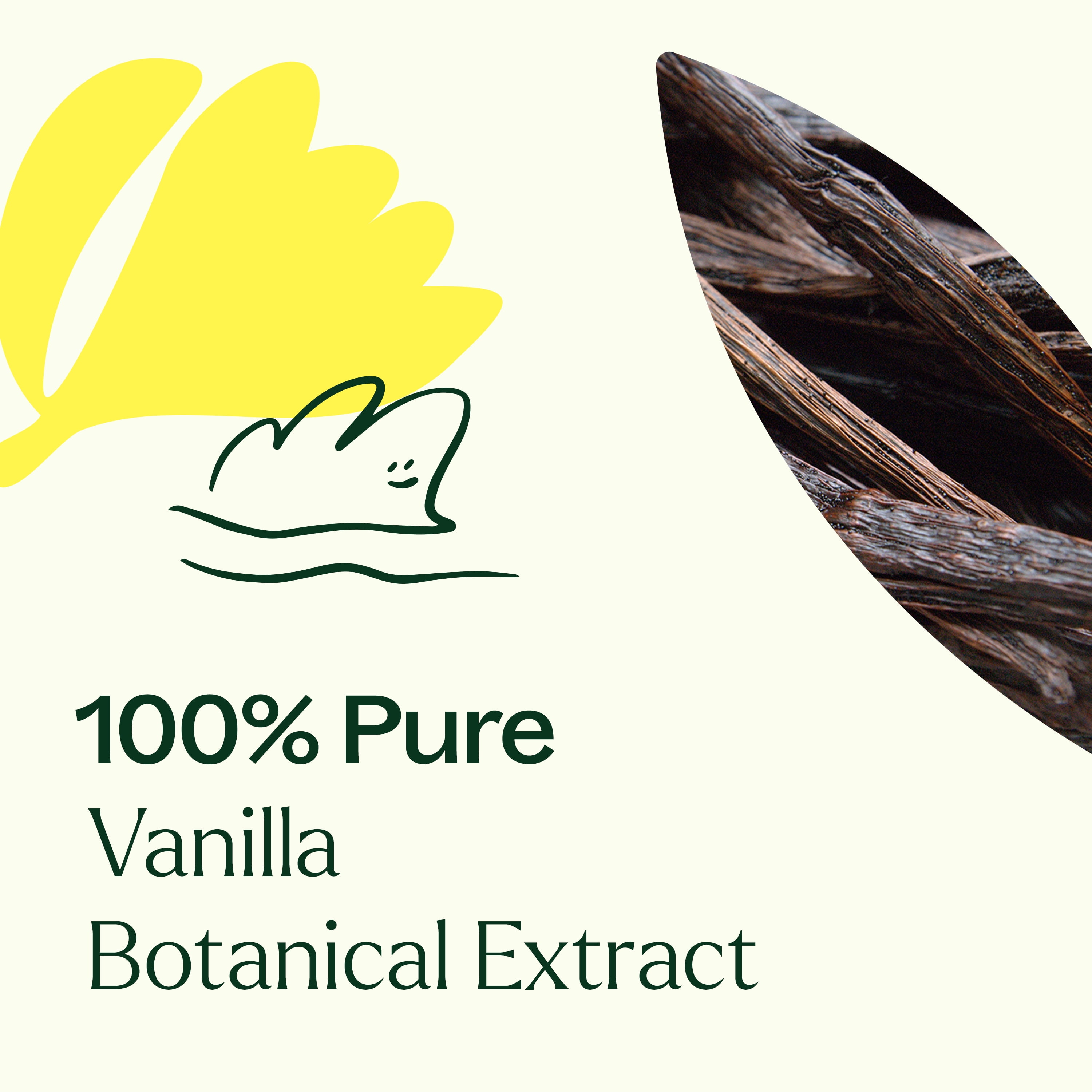Plant Therapy Vanilla Botanical Extract 30 mL (1 oz) 100% Pure, Undiluted, Natural Aromatherapy