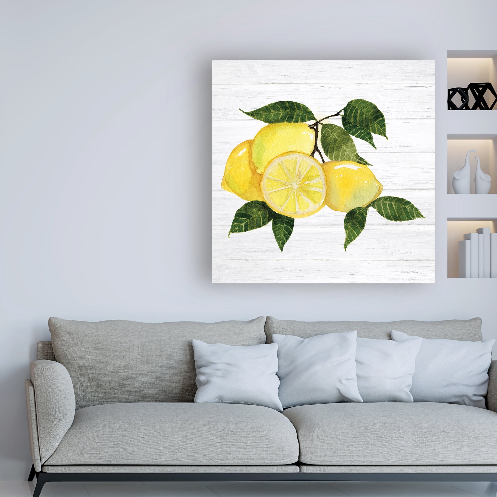 Trademark Fine Art 'Citrus Garden VI Shiplap' Canvas Art by Kathleen Parr McKenna