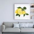 thumbnail image 3 of Trademark Fine Art 'Citrus Garden VI Shiplap' Canvas Art by Kathleen Parr McKenna, 3 of 3