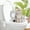 Grey, variant on Ailezt Cat Toilet Seat Training Kit | Toilet Traiining System | Teach To Use | Reusable Thrainer | Trainig Seat Tool | For Pet Cleaning